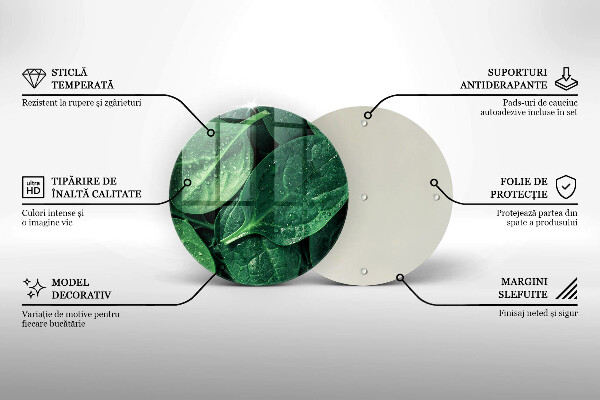 Skleněná deska do kuchyně Listy bazalky