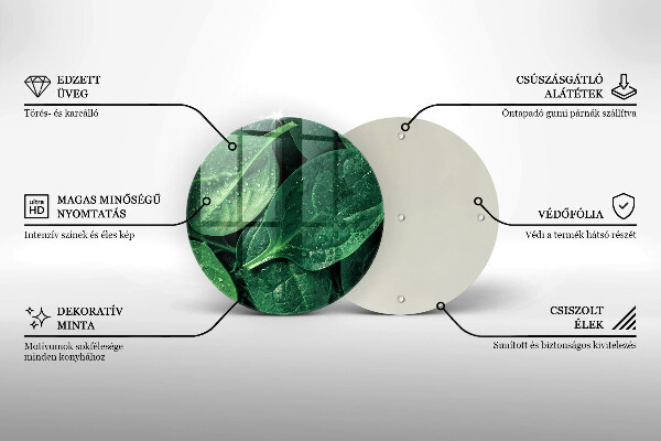 Skleněná deska do kuchyně Listy bazalky