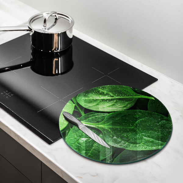 Skleněná deska do kuchyně Listy bazalky