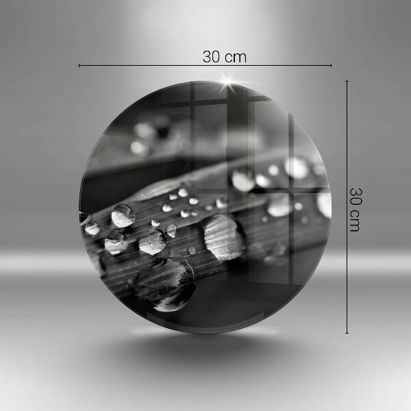 Skleněná deska do kuchyně Kapky rosy na listech