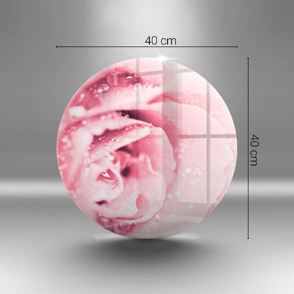 Skleněná deska do kuchyně Kapky rosy a květ růže