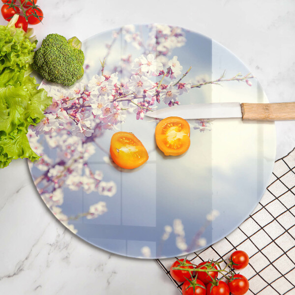 Skleněná deska do kuchyně Kvetoucí strom