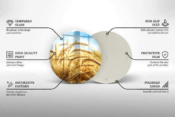 Skleněná deska do kuchyně Klasy obilovin na poli