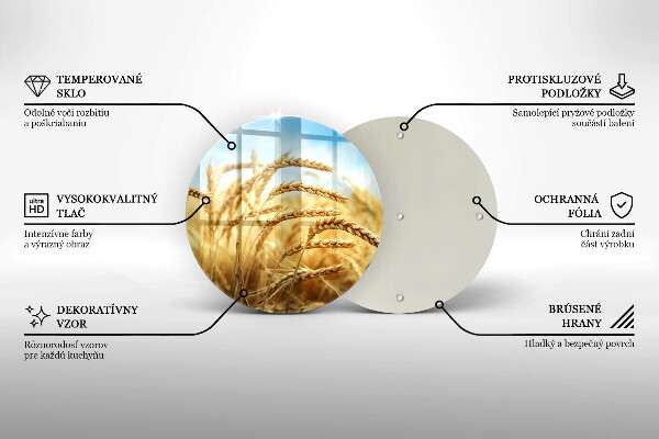 Skleněná deska do kuchyně Klasy obilovin na poli