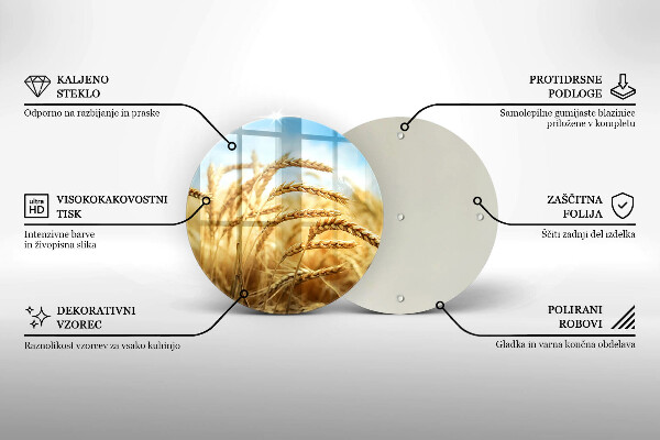 Skleněná deska do kuchyně Klasy obilovin na poli