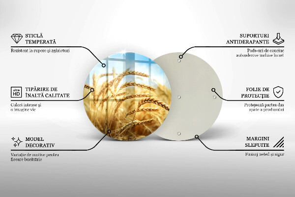 Skleněná deska do kuchyně Klasy obilovin na poli