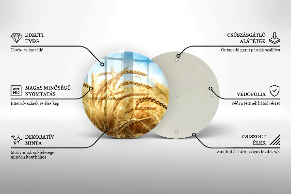 Skleněná deska do kuchyně Klasy obilovin na poli