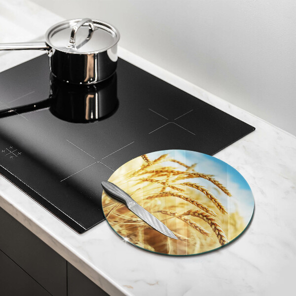 Skleněná deska do kuchyně Klasy obilovin na poli