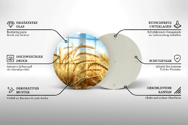 Skleněná deska do kuchyně Klasy obilovin na poli