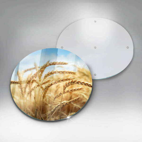 Skleněná deska do kuchyně Klasy obilovin na poli