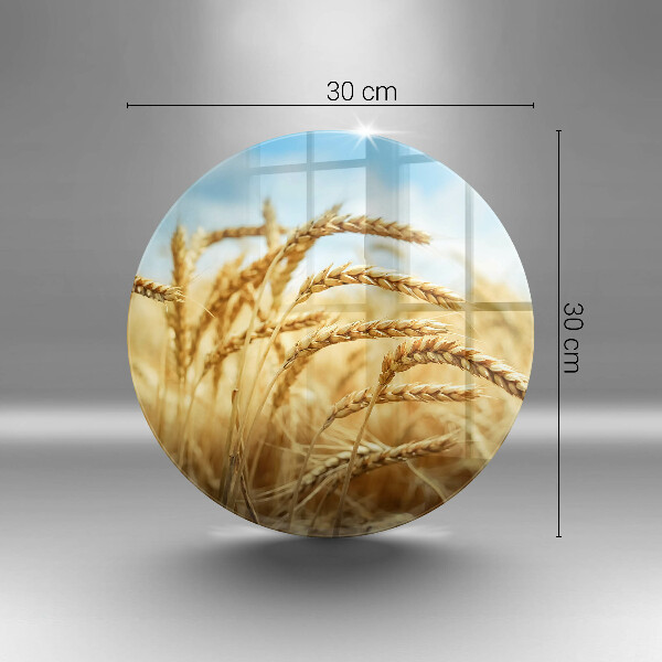 Skleněná deska do kuchyně Klasy obilovin na poli