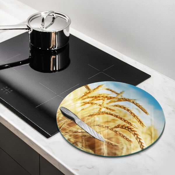 Skleněná deska do kuchyně Klasy obilovin na poli
