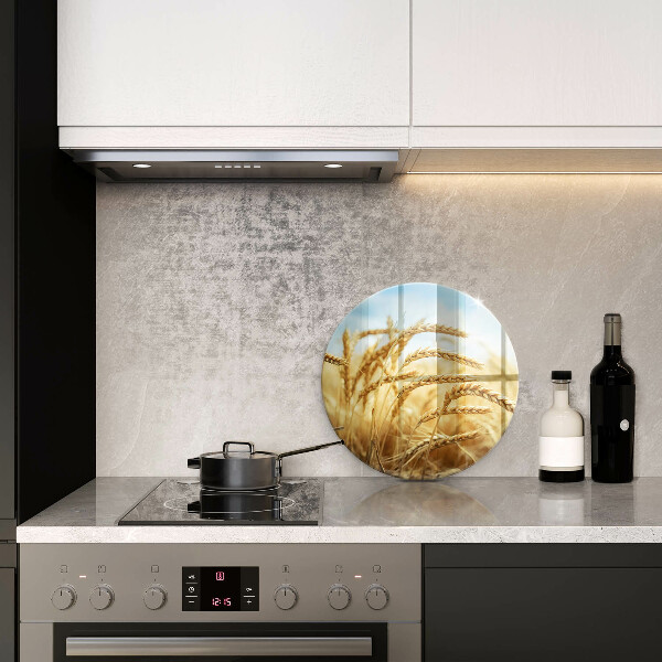 Skleněná deska do kuchyně Klasy obilovin na poli