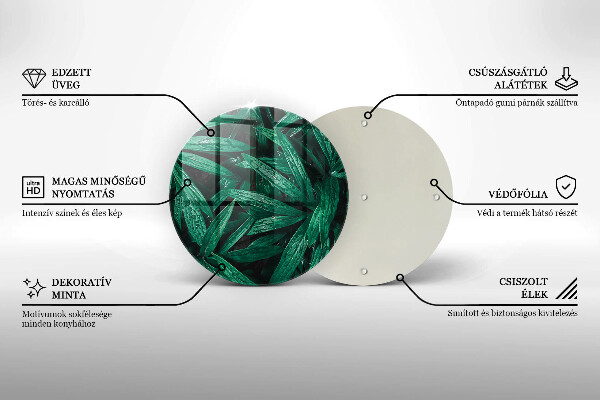 Skleněná deska do kuchyně Listy rostlin