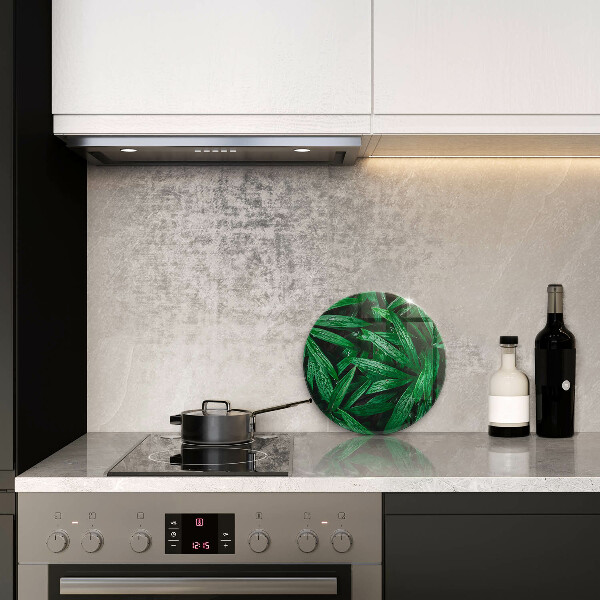 Skleněná deska do kuchyně Listy rostlin