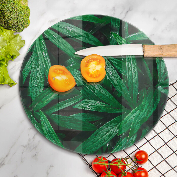 Skleněná deska do kuchyně Listy rostlin