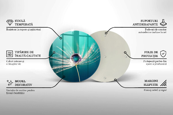 Skleněná deska do kuchyně Rosa na pampelišce