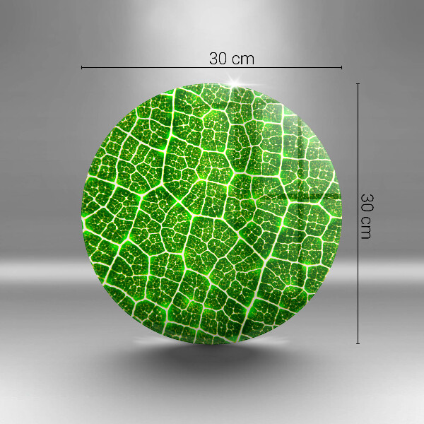 Skleněné krájecí prkénko Struktura listu