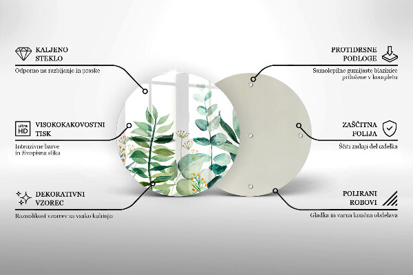 Skleněná deska do kuchyně Ilustrace rostlin listy