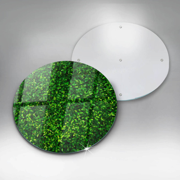 Skleněná deska do kuchyně Rostlina s malými listy