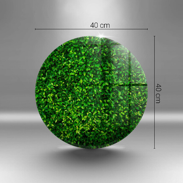 Skleněná deska do kuchyně Rostlina s malými listy