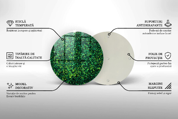 Skleněná deska do kuchyně Rostlina s malými listy