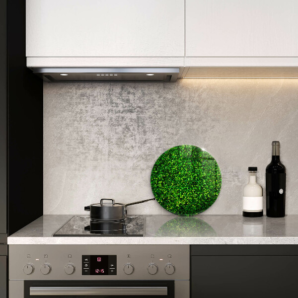 Skleněná deska do kuchyně Rostlina s malými listy