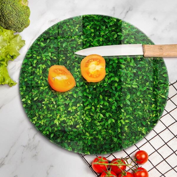 Skleněná deska do kuchyně Rostlina s malými listy