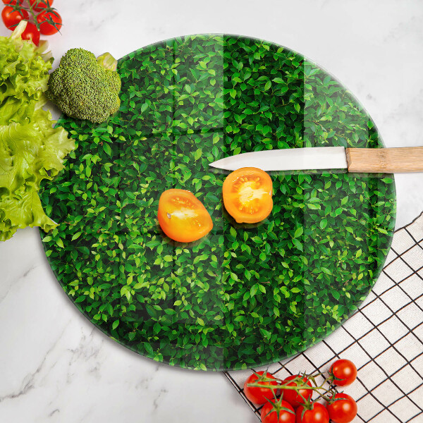 Skleněná deska do kuchyně Rostlina s malými listy