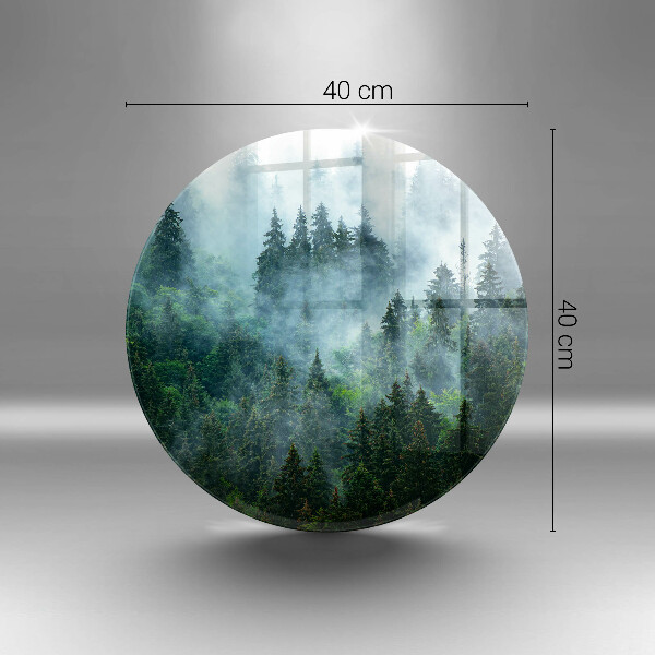 Skleněná deska do kuchyně Les v mlze