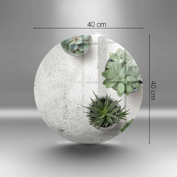 Skleněná deska do kuchyně Sukulenty na betonu