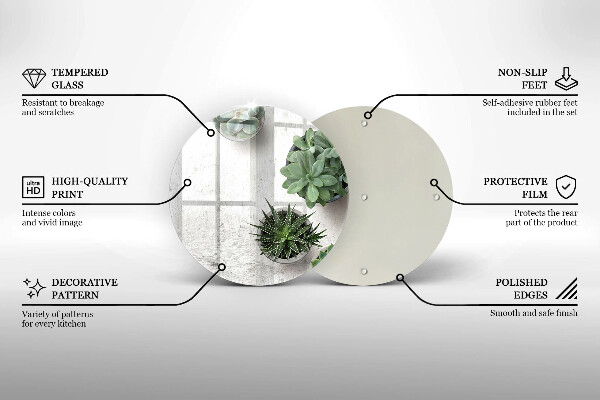 Skleněná deska do kuchyně Sukulenty na betonu