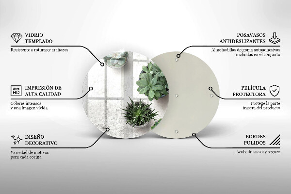 Skleněná deska do kuchyně Sukulenty na betonu