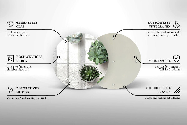 Skleněná deska do kuchyně Sukulenty na betonu
