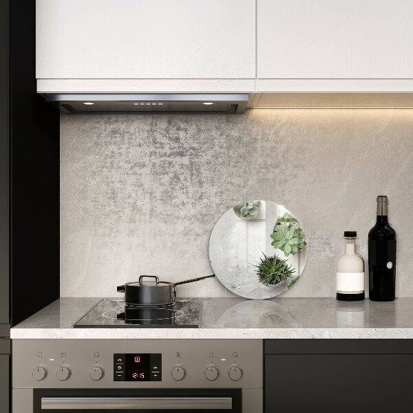 Skleněná deska do kuchyně Sukulenty na betonu