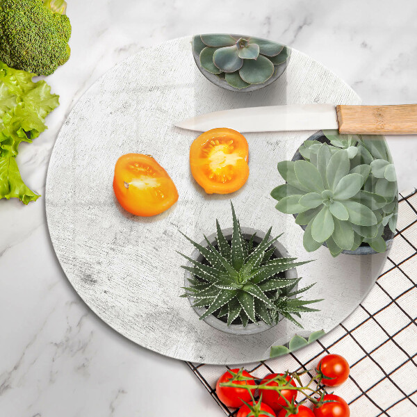 Skleněná deska do kuchyně Sukulenty na betonu