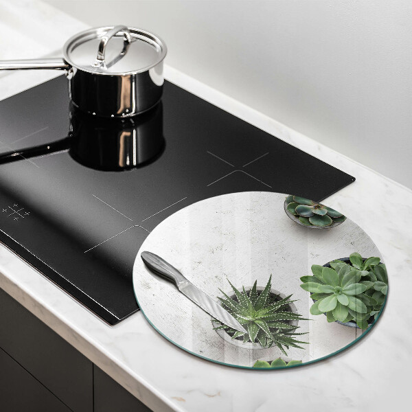 Skleněná deska do kuchyně Sukulenty na betonu