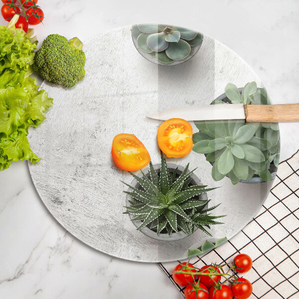 Skleněná deska do kuchyně Sukulenty na betonu