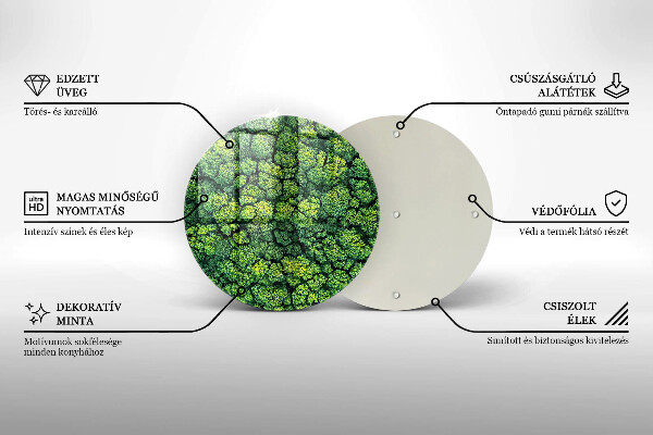 Skleněná deska do kuchyně Přírodní mechová rostlina