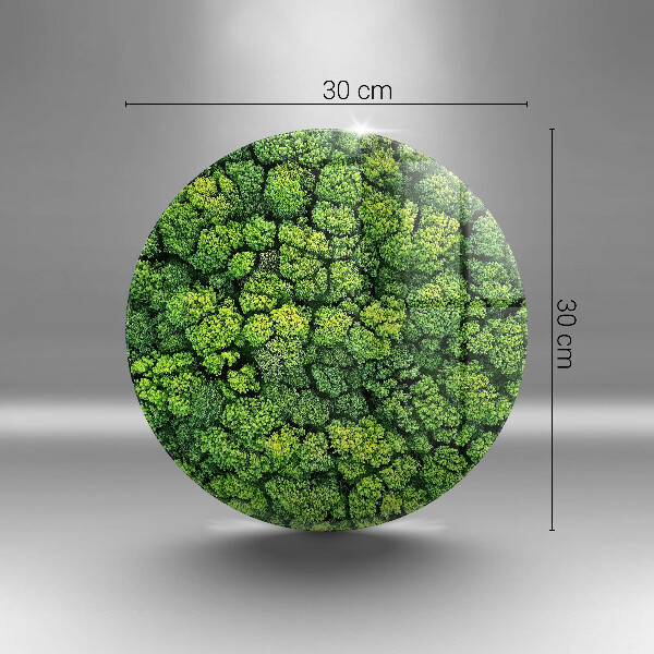 Skleněná deska do kuchyně Přírodní mechová rostlina