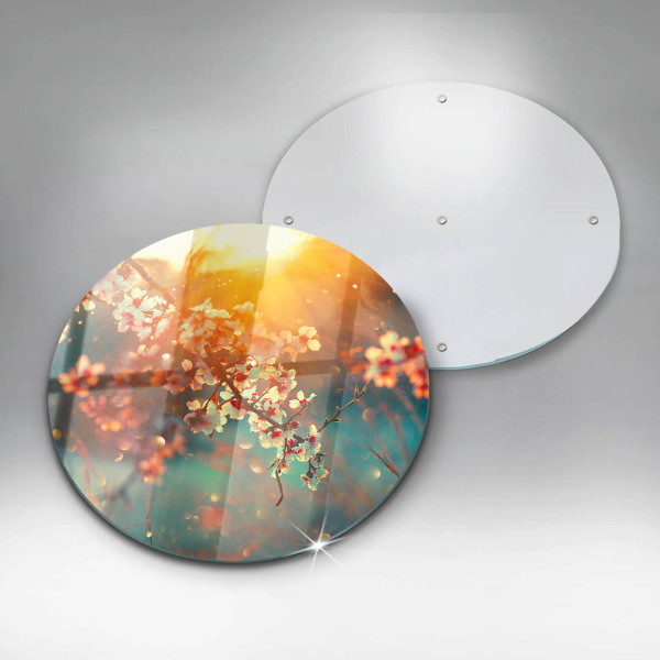 Skleněná deska do kuchyně Apple kvete na slunci