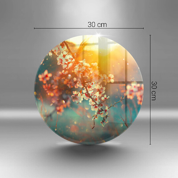 Skleněná deska do kuchyně Apple kvete na slunci