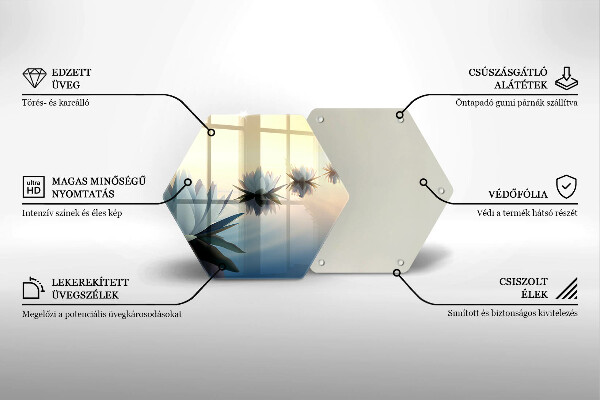 Skleněná deska do kuchyně Květy lilie na vodě