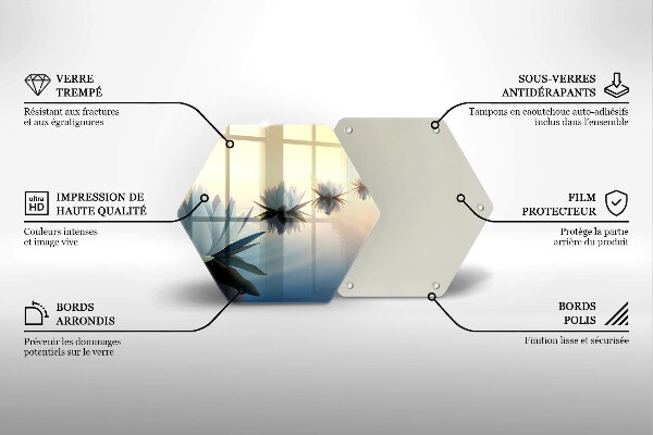 Skleněná deska do kuchyně Květy lilie na vodě