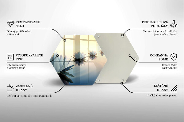 Skleněná deska do kuchyně Květy lilie na vodě