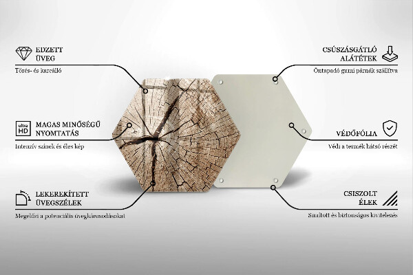 Skleněná deska do kuchyně Průřez stromem