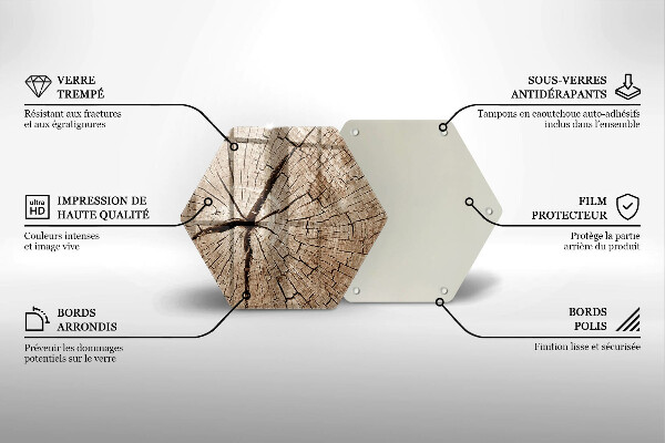 Skleněná deska do kuchyně Průřez stromem
