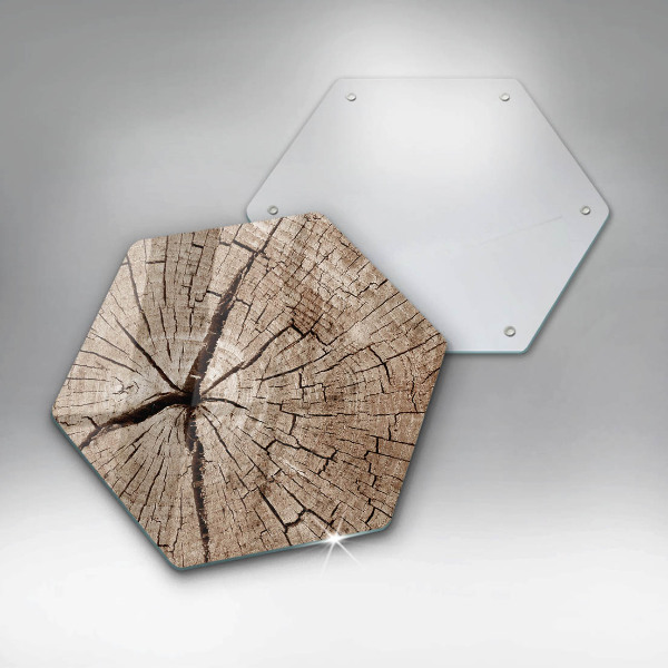 Skleněná deska do kuchyně Průřez stromem