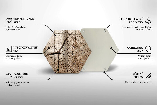 Skleněná deska do kuchyně Průřez stromem