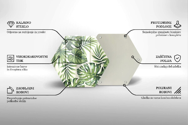 Skleněná deska do kuchyně Ilustrace monstera listy